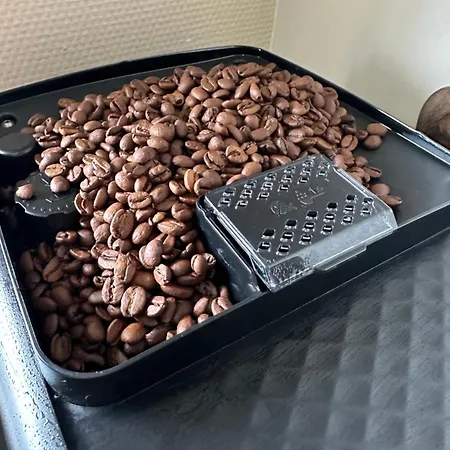 Familievenligt Hus Med Rolig Have