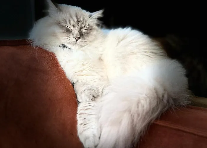 Villa Hyggeligt Hus I Med Wellness Og Massage Haderslev